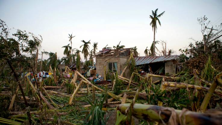 In einer vollkommen verwüsteten Landschaft mit umgestürzten und abgeknickten Palmen steht ein halb zerstörtes kleines Haus. 