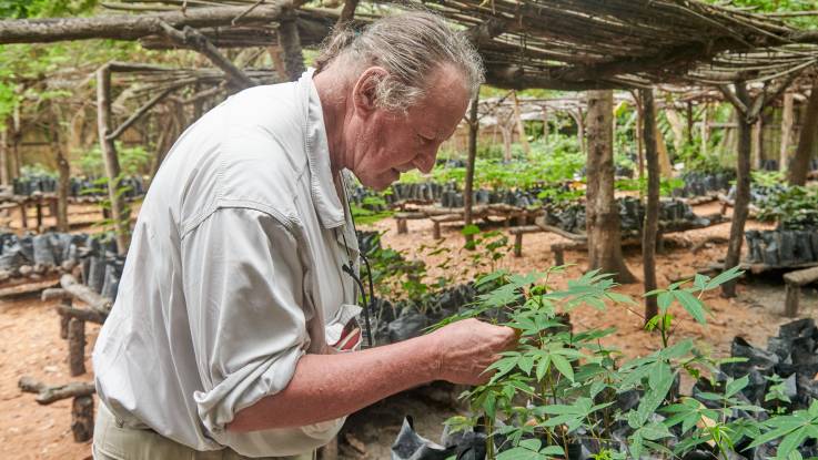 Ein älterer Mann beugt sich zu einer Pflanze herunter – um ihn herum sind Jungpflanzen in Säcken angeordnet. 