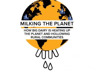 Grafik: ein Globus mit Euter unten, darüber der Text «Milking the planet – how big dairy is heating up the planet and hollowing rural communities»