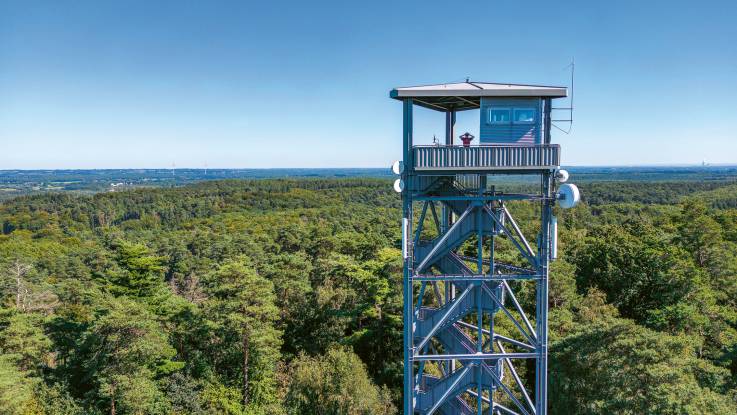 Aus einem Meer aus Baumkronen erhebt sich ein blau-grauer Wachturm, auf dem eine Person Ausschau hält.