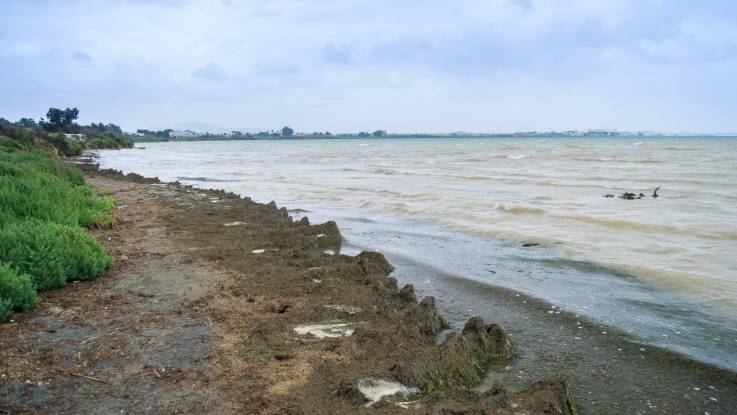 Das Wasser in der Brandung ist milchig-trüb – von den Wellen werden abgestorbene Pflanzenreste ans Ufer angeschwemmt. 