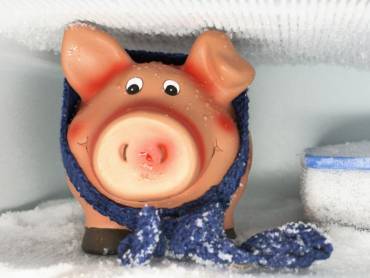 Sparschwein mit Schal im Gefrierfach
