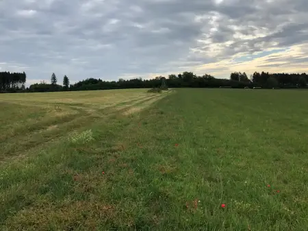 Unter größtenteils bewölktem Himmel eine gemähte Wiese, am Horizont Baumreihen und Büsche.