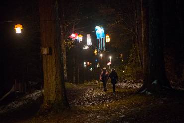 Zwei Frauen spazieren auf einem Waldweg im Dunklen, der von bunten Laternen erleuchtet wird