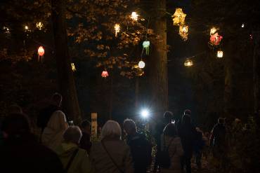 In einer nächtlichen Szenerie im Wald blicken viele Menschen auf Lampeninstallationen, die in den Baumwipfel aufgehängt sind