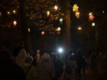 In einer nächtlichen Szenerie im Wald blicken viele Menschen auf Lampeninstallationen, die oben zwischen den Bäumen aufgehängt wurden
