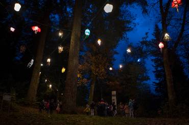Nächtliche Szenerie im Wald, Blick von unten auf Lampeninstallationen, die oben zwischen den Bäumen aufgehängt wurden, darunter Besucherinnen und Besucher