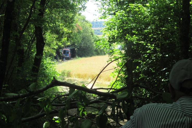 Aus sicherer Deckung im Unterholz heraus beobachtet ein Aktivist die Stellung der Poliziei.