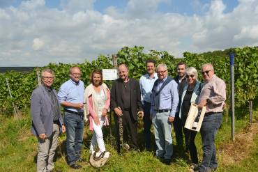 Gruppenbild vor dem Weinstock in der Sonne.