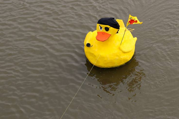 Eine Piratenente mit Augenklappe und Anti-Atom-Fähnchen schwimmt auf dem Wasser.