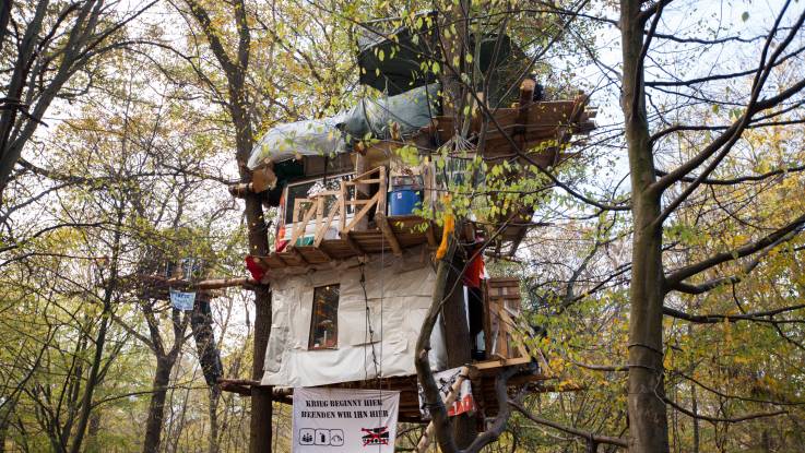 Zwei Baumhäuser von Aktivisten im Hambacher Forst