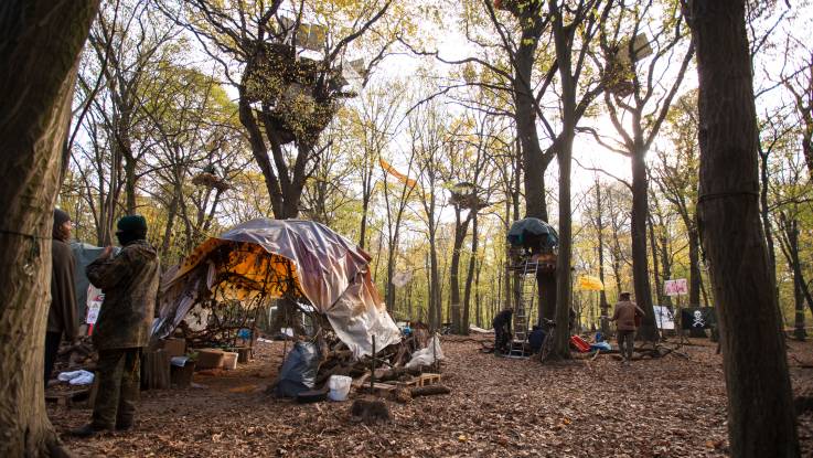 Das Camp mit Baumhäusern