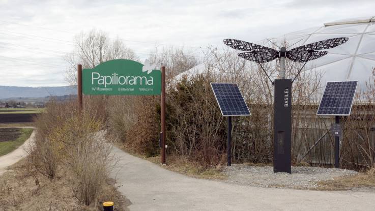 Am Eingang zum Papiliorama stehen zwei PV-Module und eine Schmetterlings-Skulptur.