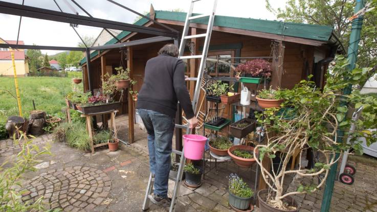 Ein Mann erklimmt eine Leiter, die in an ein Gartenhäuschen gelehnt ist.