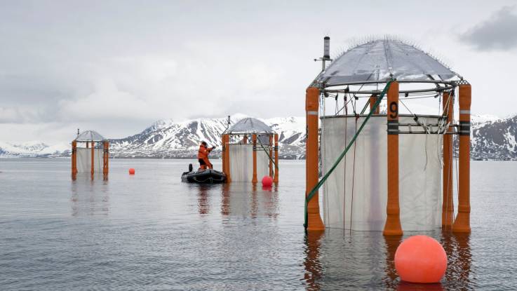 Freilandexperiment im Meer: An einer von drei filigranen Konstruktionen aus Folien, Spanndrähten und und Rohren steht ein Mann in einem Schlauchboot.