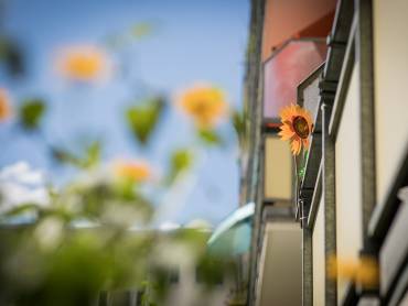 Balkon von unten fotografiert, unscharf ragen gelbe Blumen ins Bild