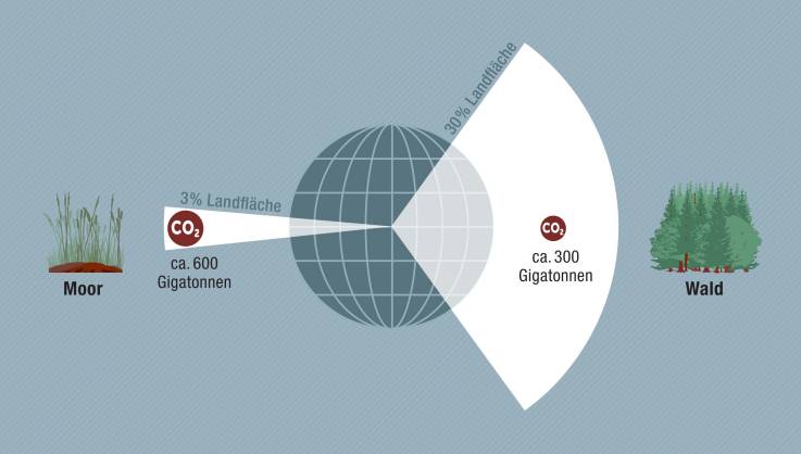 Vor einem stilisierten Globus zeigt eine Tortengrafik die Anteile Moor (3 %)  zu Wald (30 %) an der Gesamtlandfläche und die CO2-Emissionen