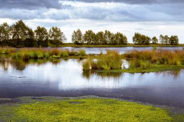 Norddeutsche Moorlandschaft