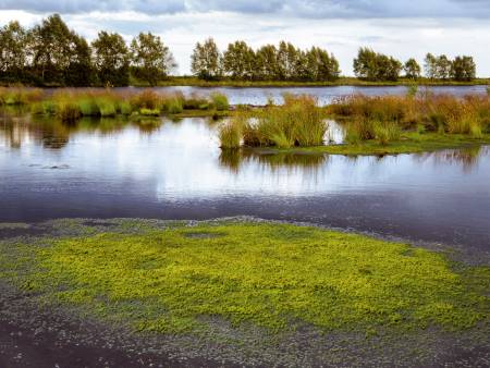 Norddeutsche Moorlandschaft