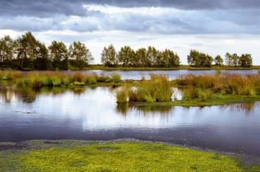 Norddeutsche Moorlandschaft