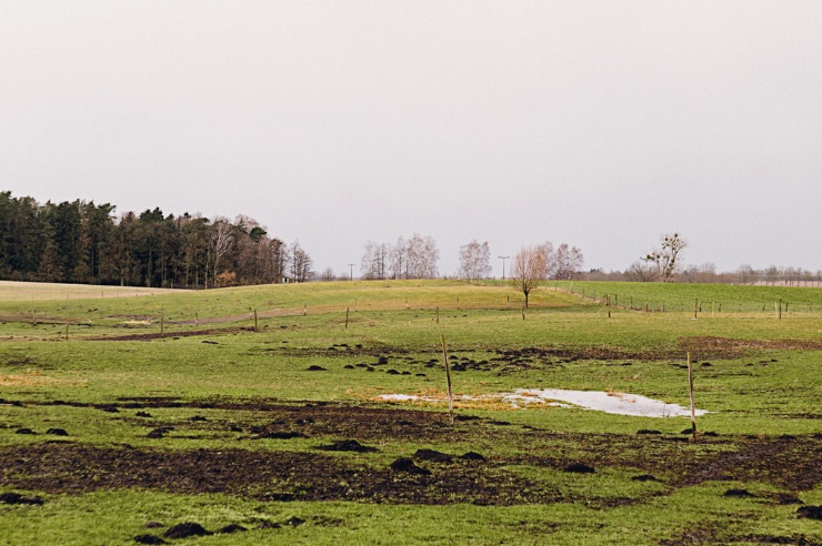 Eine große Wiese im winterlichen Regenwetter.