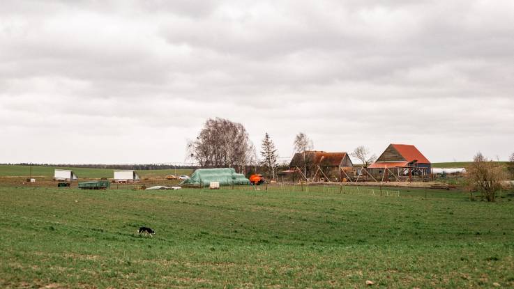 Unter bewölktem Himmel  ist von weitem ein Gehöft inmitten von Wiesen zu sehen.