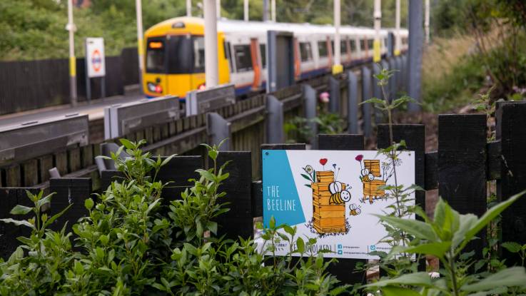 View out of the garden, along the tracks where a light rail train is just arriving.