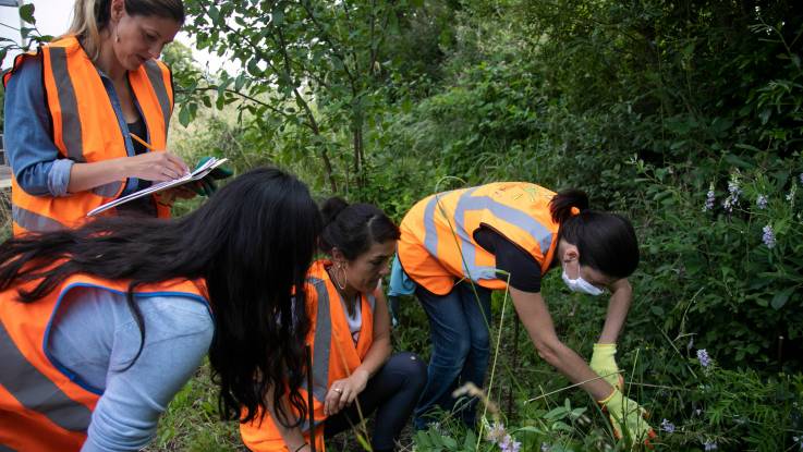 Four women in red high-visibility vests take stock of the overgrown area.