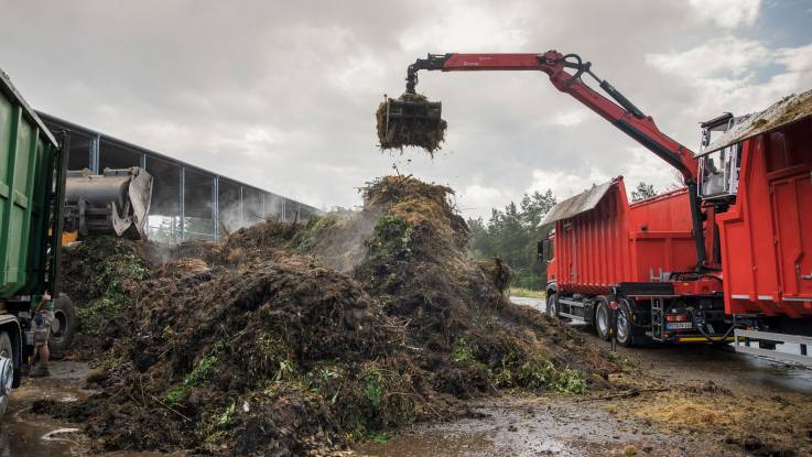 Pflanzenreste und Grünschnitt liegen auf einem Haufgen und werden mit einem Greifer auf einen LKW geladen.