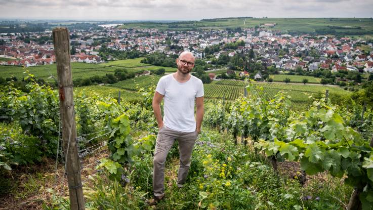 Inmitten des Weinberges steht ein junger Mann mit Brille, Glatze und Vollbart.