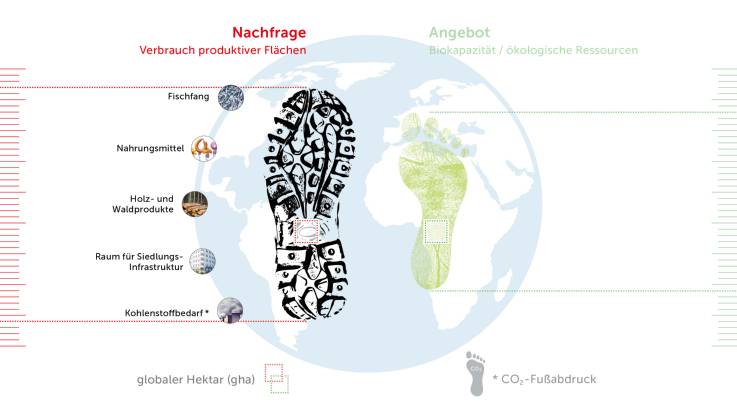 Vor der hellblau stilisierten Ansicht der Erdkugel stehen oben zwei Überschriften; die linke, in Rot gehalten, lautet «Nachfrage – Verbrauch produktiver Flächen». Darunter findet sich in Schwarz das Profil eines Wanderschuhes, das mit einem kleinen, rot umrandeten Quadrat versehen ist, welches für den globalen Hektar (gha) steht. Dem Schuhprofil sind auf der Erdumrisslinie links fünf kleine Symbolbilder zugeordnet, die mit «Fischfang», «Holz- und Waldprodukte», «Raum für Siedlungs-Infrastruktur» und «Kohlenstoffbedarf (CO₂-Abdruck)» beschriftet sind. Das oberste und unterste dieser Bildelemente ist jeweils mit einer roten Linie einer Maßlinie am linken Bildrand zugeordnet, sodass sich der Eindruck einer anhand der «Nachfrage» bestimmbaren Menge an globalen Hektaren ergibt, die jedoch nicht näher beziffert ist. 