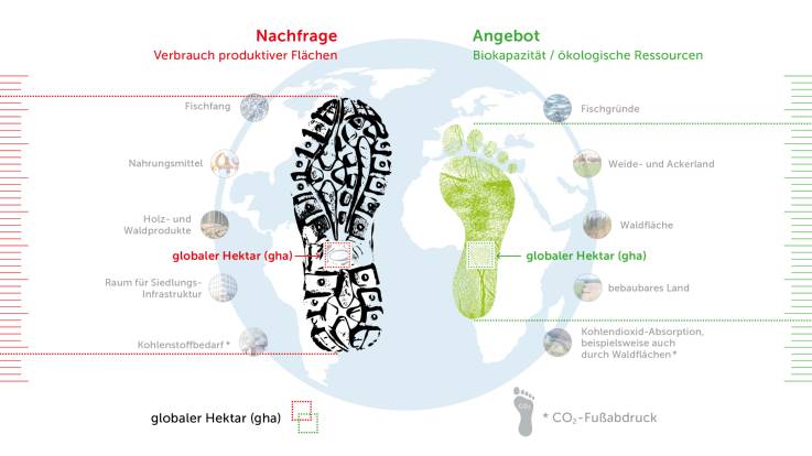 Durch Ausgrauen zahlreicher Bildelemente werden die konturierten kleinen Quadrate auf dem Abdruck des Schuhprofils und des Fußes sowie die Legende hervorgehoben, um zu verdeutlichen, dass der globale Hektar als symbolisches Flächenmaß sowohl für die Nachfrage- wie auch für die Angebotsseite der globalen Ressourcen steht.