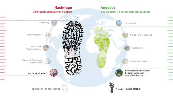 Durch Ausgrauen von Bildelementen werden hier der Kohlenstoffbedarf und die Kohlenstoffabsorption hervorgehoben, um zu verdeutlichen, dass diese beiden Rechengrößen eine CO₂-Bilanz ermöglichen.