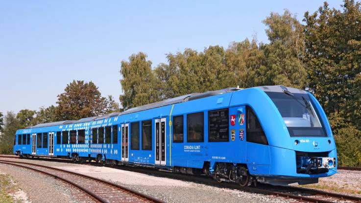 Ein blauer Nahverkehrszug an einem Waldrand