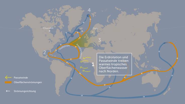 Dieselbe Grafik beinhaltet folgenden Text: «Erstens: die Erdrotation und Passatwinde treiben warmes tropisches Oberflächenwasser nach Norden.»