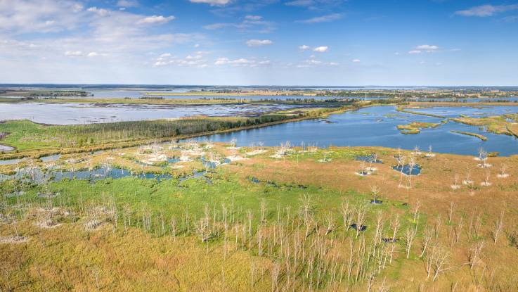 Luftaufnahme einer Landschaft mit Gras, Bäumen und Büschen, die von großen Wasserflächen durchbrochen ist.