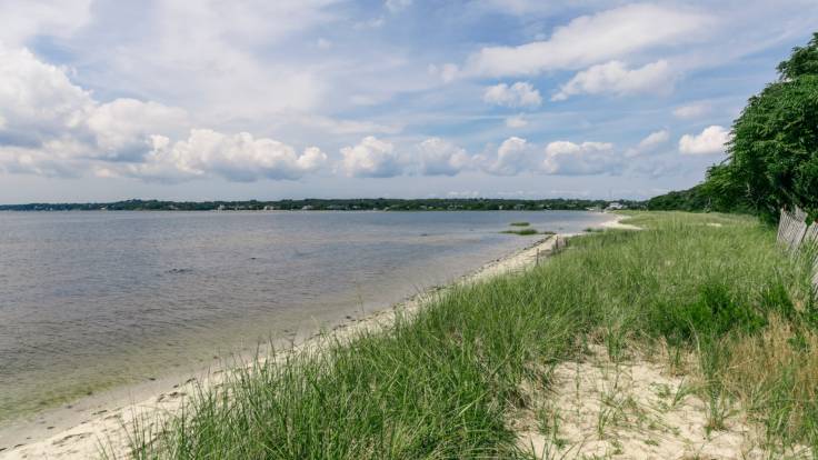 Angepflanztes Gras an einem Küstenstreifen hilft, die Erosion der Strände zu verhindern.