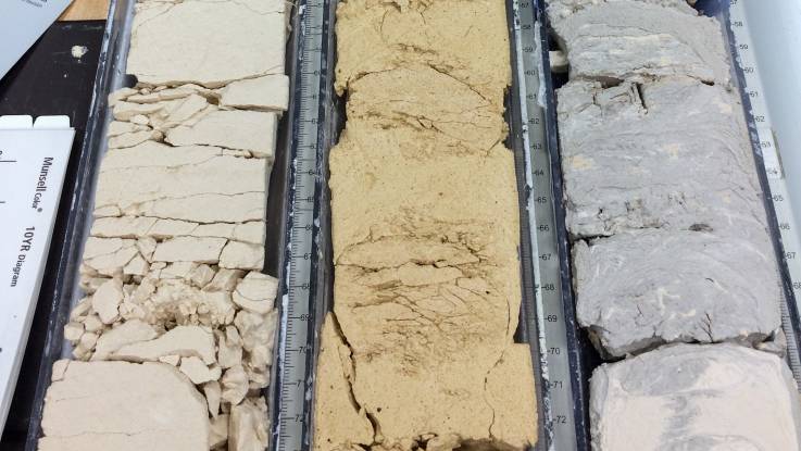 Drei Sedimentproben in unterschiedlichen Grau- und Ockertönen in Regenrinnen-artigen Halbrohren, sind mit einer Längenskalierung versehen.