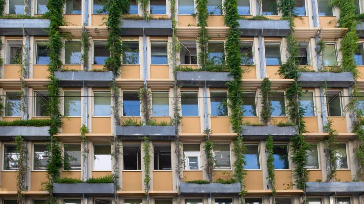 Die Fassade in der Totalen: längliche Pflanztröge samt Rankhilfen sind versetzt an der ockerfarbenen Hauswand montiert. 