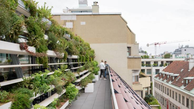 Von außen: Vor der bepflanzten Konstruktion stehen zwei Personen auf einer Dachterrasse und blicken nach unten. 