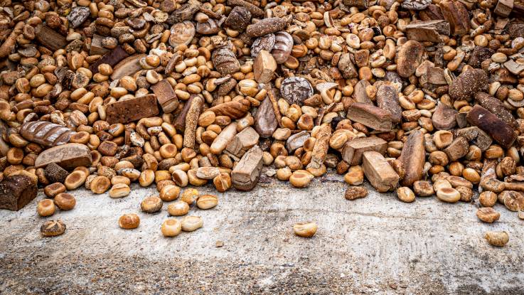 Ein großer Haufen weggeworfener Teigwaren: zwischen Brotlaiben liegen Brötchen in allen gängigen Varianten. 