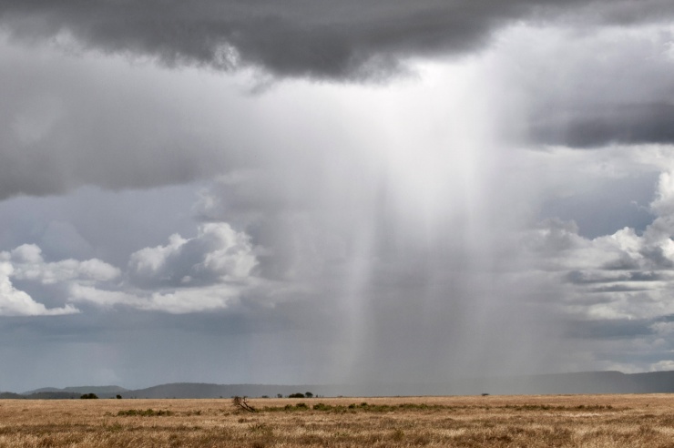 Schwere Regenwolken entladen sich über einen Savannenlandschaft.