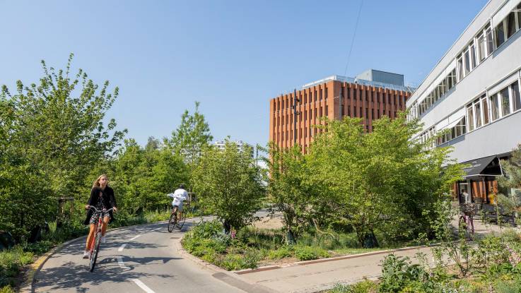 In einem Bogen verläuft ein Radweg, auf dem zwei Radfahrer unterwegs sind, durch eine urbane begrünte Fläche.