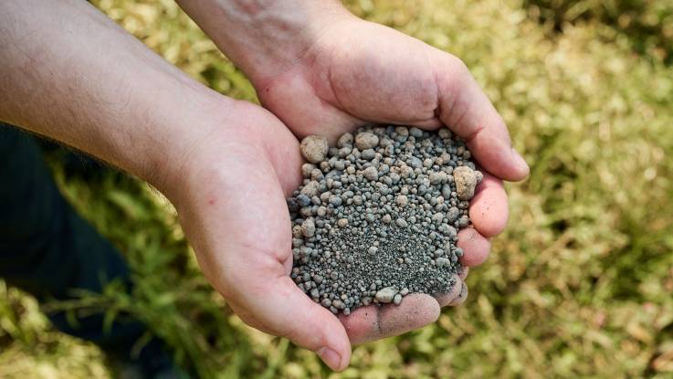 In zwei ausgestreckten Händen befinden sich pelletierten Samen, die aussehen wie feine Kieselsteine.