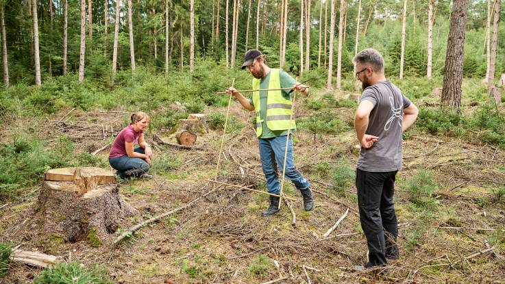 Eine Frau und zwei Männer auf einer Lichtung im Wald: einer der Männer hält einen  Rahmen aus Bambusästen.