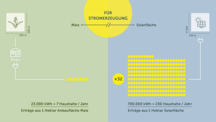 Eine Grafik zeigt, dass die Stromerzeugung auf Solarflächen 32-mal effizienter ist als bei Maisfeldern für Biogas.  