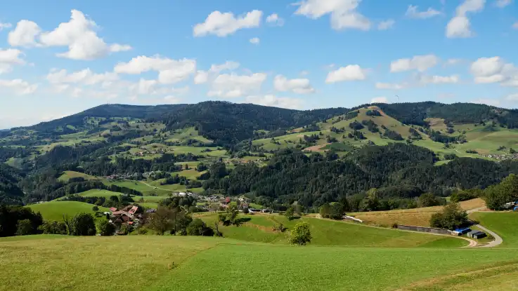 In einer hügeligen Landschaft, zwischen Wäldern und Wiesen gelegen, befinden sich mehrere Dörfer. 