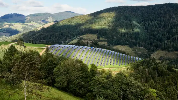 Zwischen ausgedehnten Wäldern liegt eine PV-Anlage, deren Module teilweise von der Sonne angestrahlt werden. 