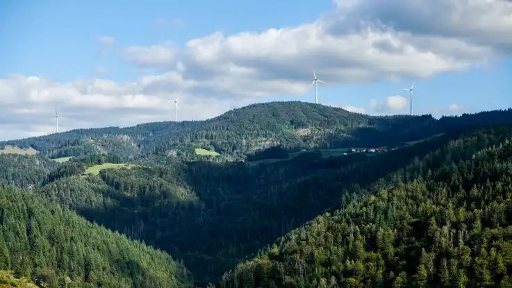 Auf einem langgezogenen, bewaldeten Bergkamm ragen vier Windräder mit einigem Abstand zueinander in den Himmel. 