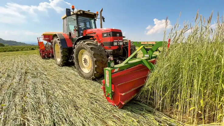 Ein roter Traktor arbeitet sich mit einer walzenartigen Vorrichtung durch ein Feld mit hohen Gräsern.